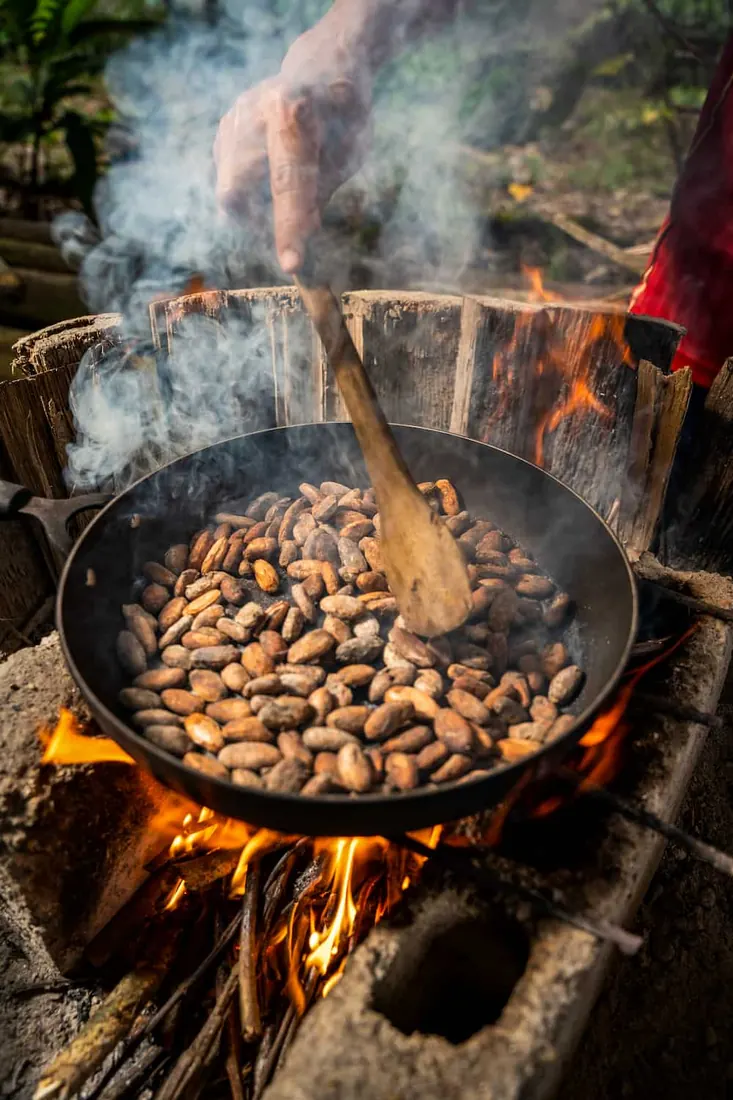 Cacao Workshop — Fruit to Bar