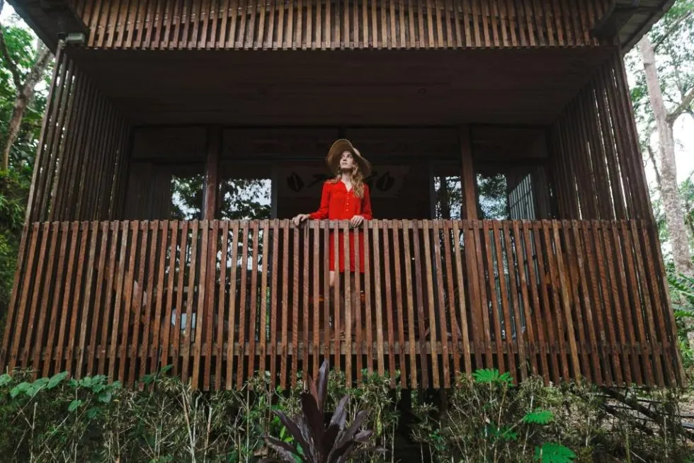 A balcony among the trees at Hamadryade Lodge