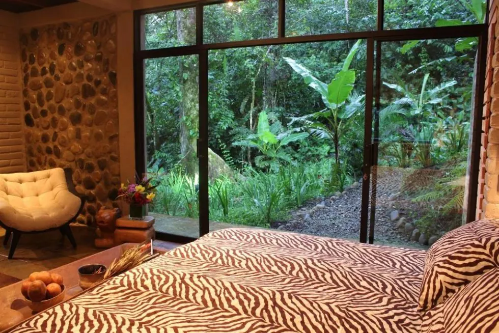 Bedroom opening onto the rainforest